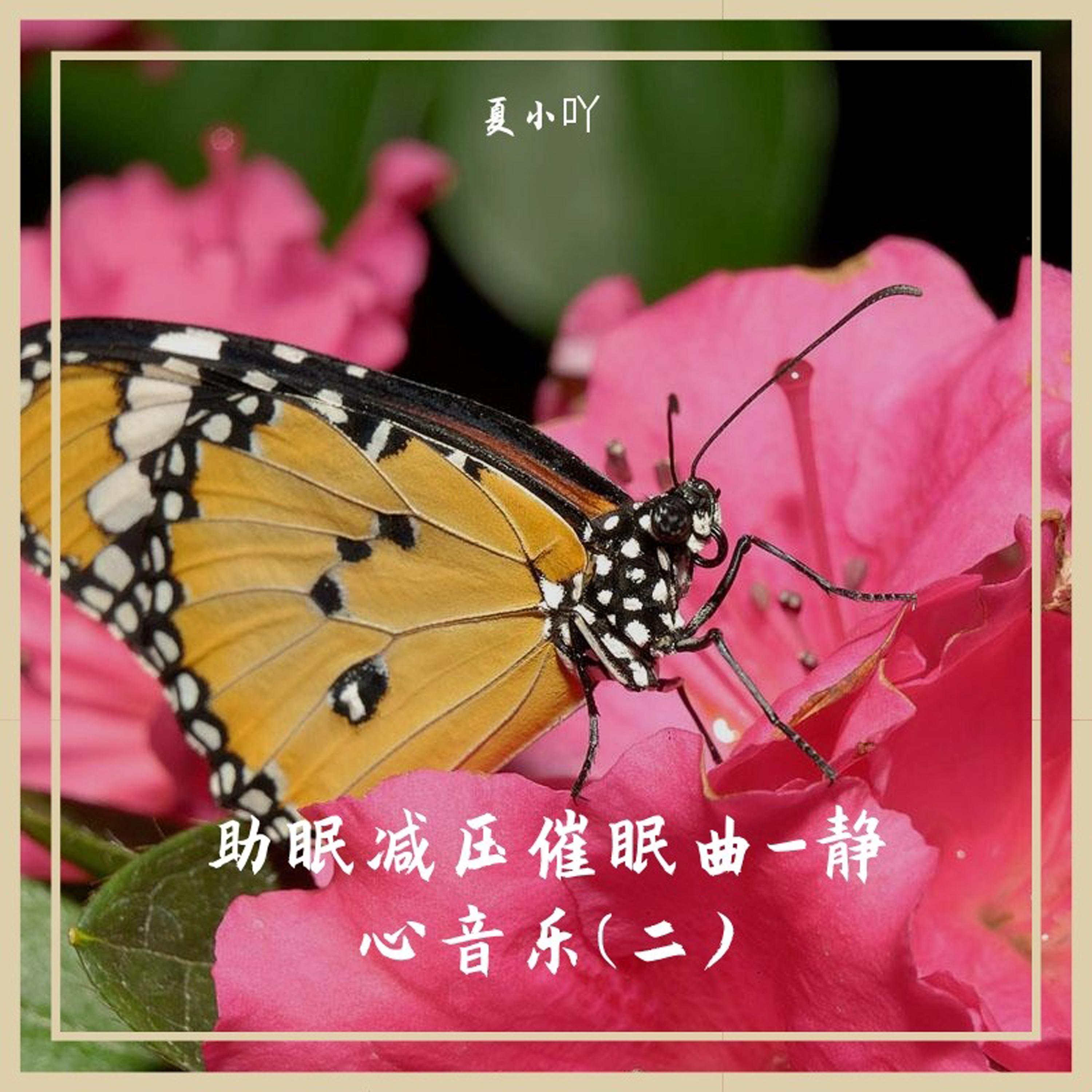 睡前音乐 (催眠曲)封面