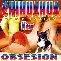 Chihuahua compilation new