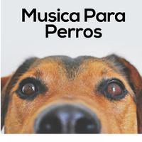 Biblioteca de Música Para Mascotas