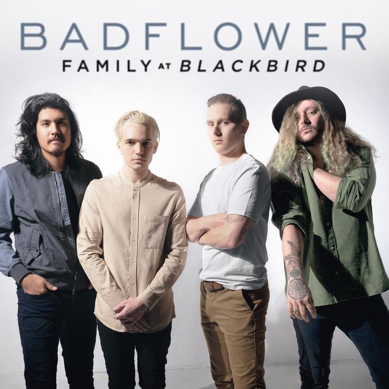Family (Blackbird)封面