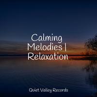 Calming Melodies | Relaxation