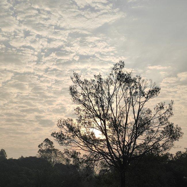 愿君归来若春风呀