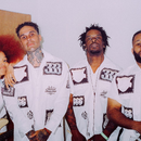 FEVER 333