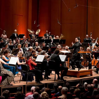 Houston Symphony Orchestra