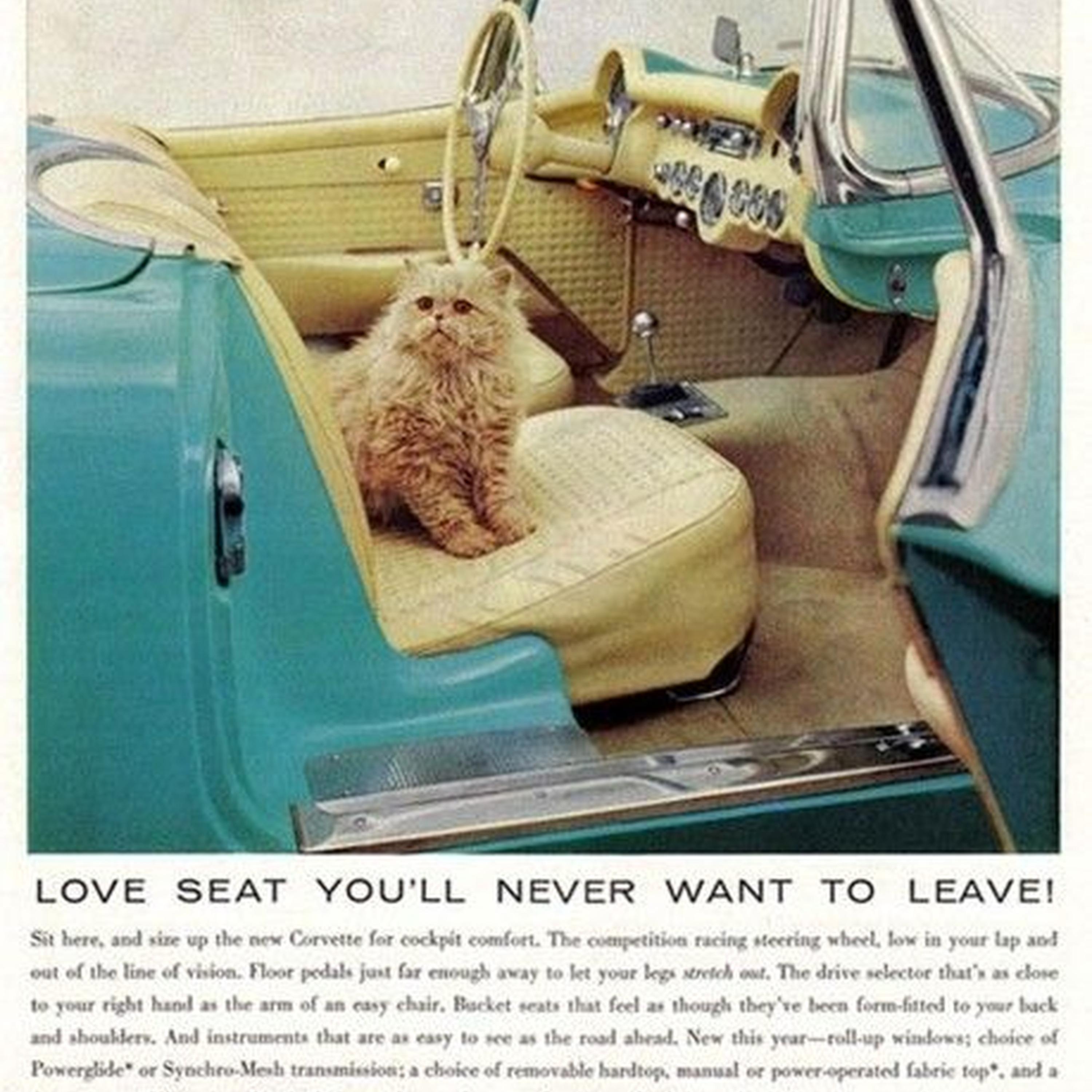 Don't Stop The Music (slowed)