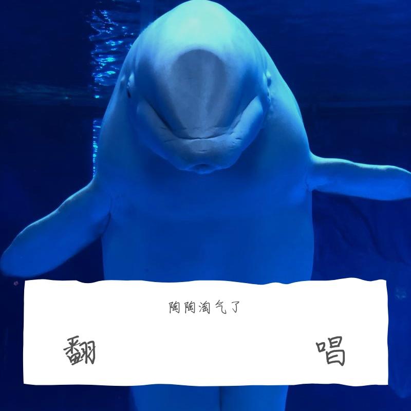 有一种悲伤--alin翻唱 - 陶陶淘气了封面