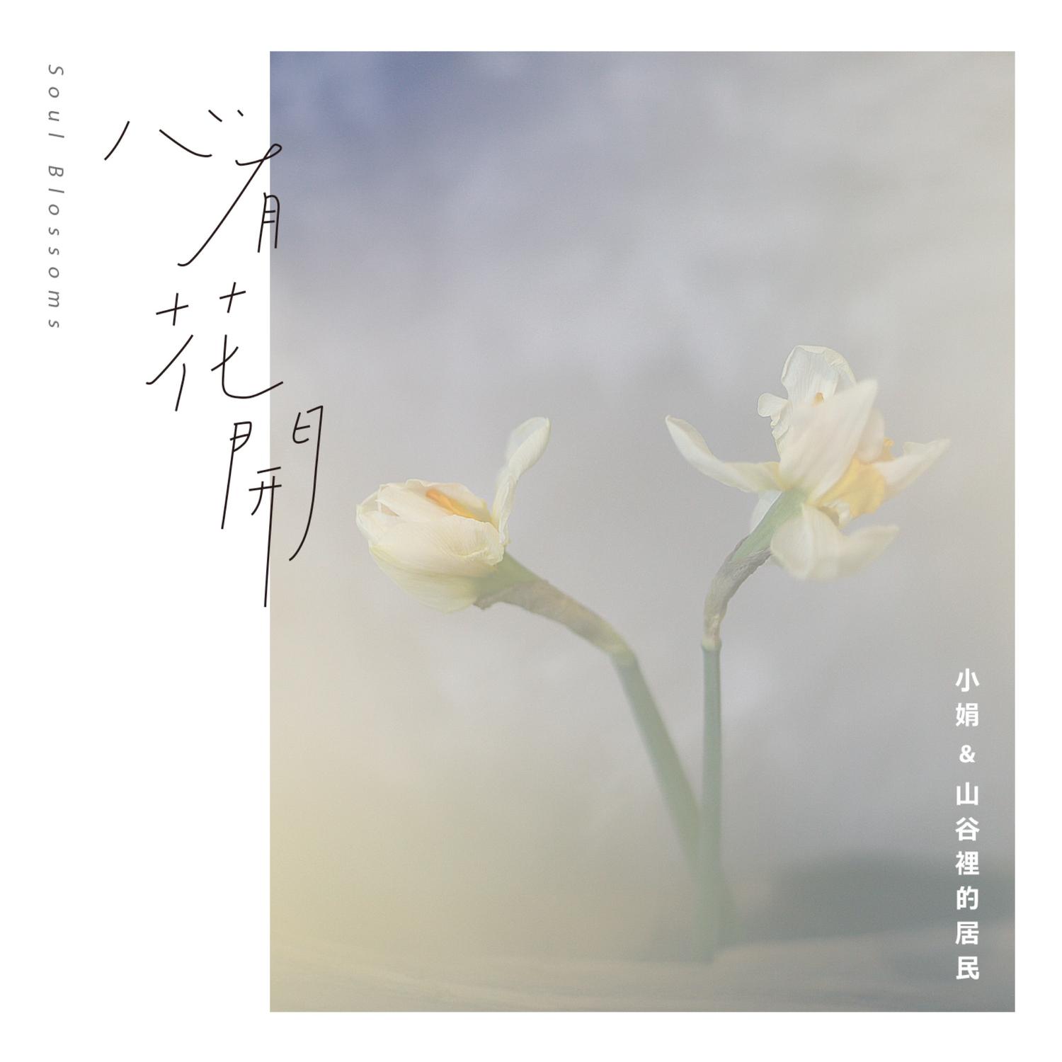 无画- 小娟&山谷里的居民- 单曲- 网易云音乐