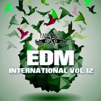 EDM International, Vol. 12