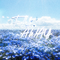 FLY AWAY专辑