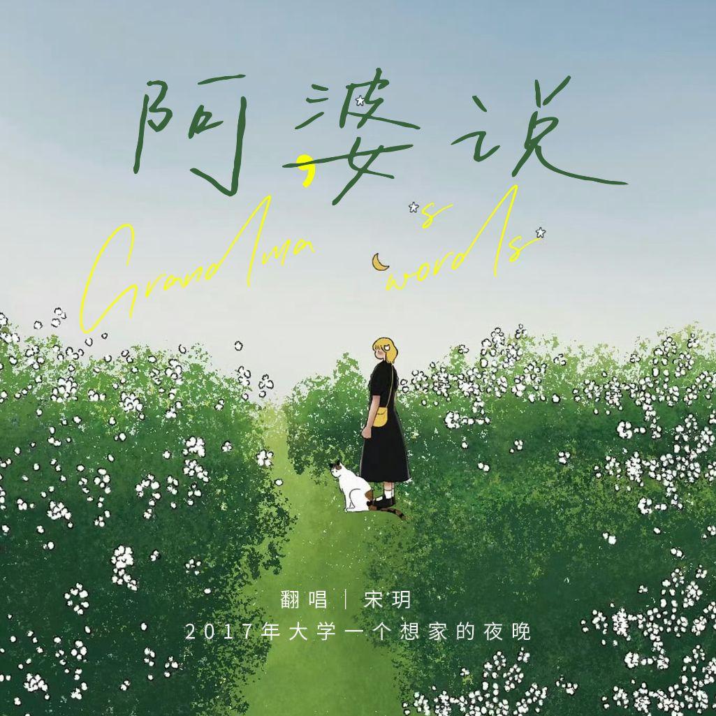 阿婆说封面