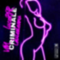 Criminale (feat. VM & Giulesteanu)