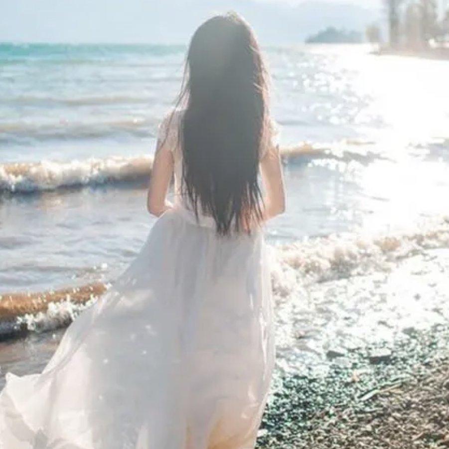 温柔宠坏的多肉