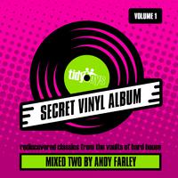 The Secret Vinyl Album, Vol. 1