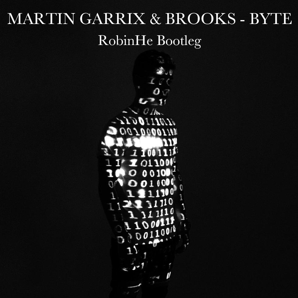 martin garrix / brooks / carel - byte(robinhebootleg)