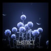 Thistlect