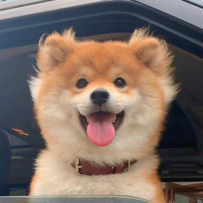 小琳饼干脆脆甜