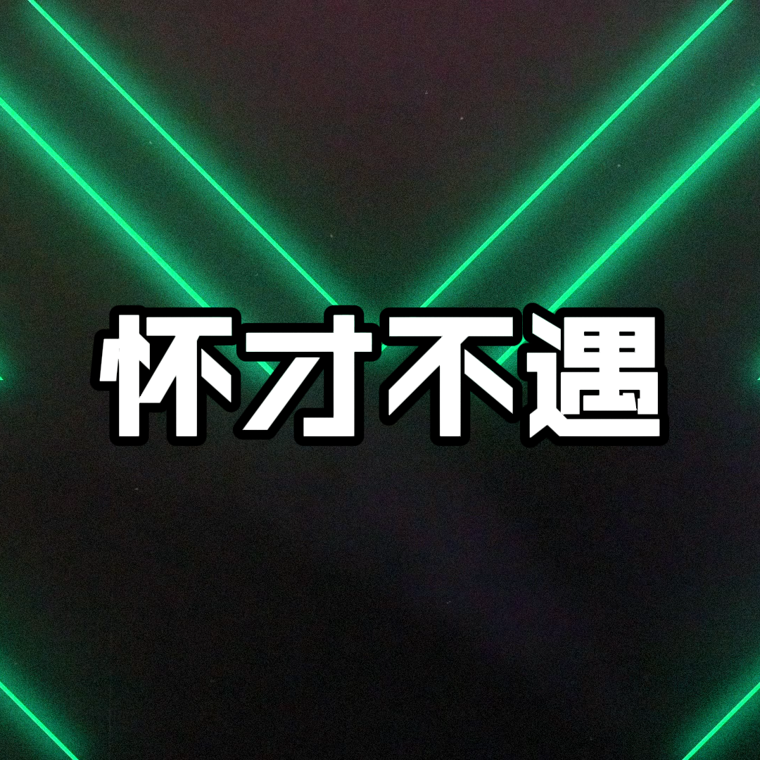 怀才不遇封面