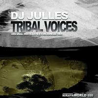 Tribal Voices