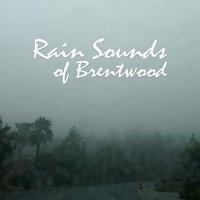 Rain Sounds of Brentwood资料,Rain Sounds of Brentwood最新歌曲,Rain Sounds of BrentwoodMV视频,Rain Sounds of Brentwood音乐专辑,Rain Sounds of Brentwood好听的歌
