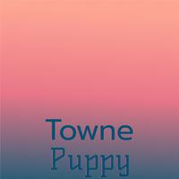 Towne Puppy