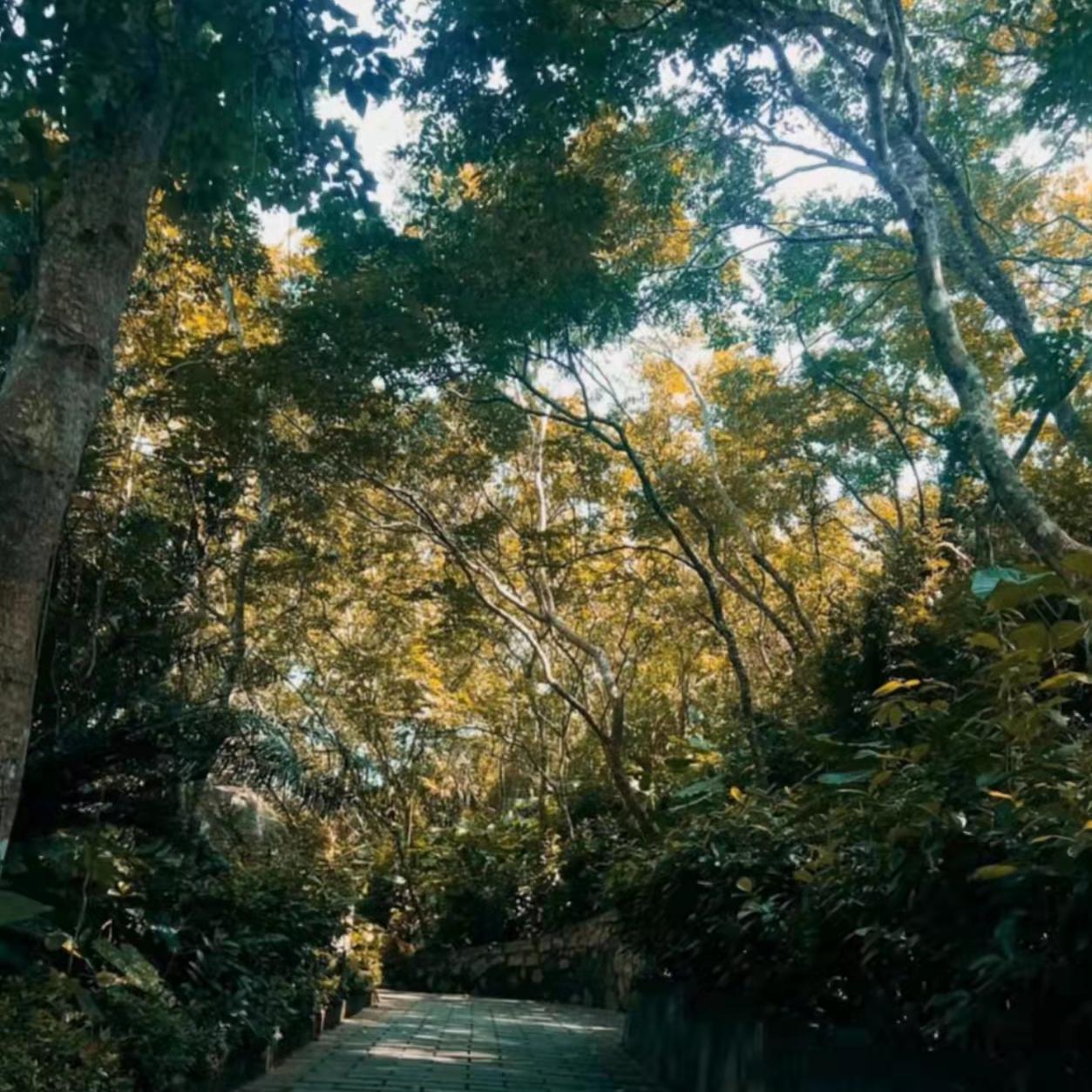 18(prod by Rising Beat ) - Jeff W封面