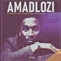 AMADLOZI (feat. TEBZA DA DJ)