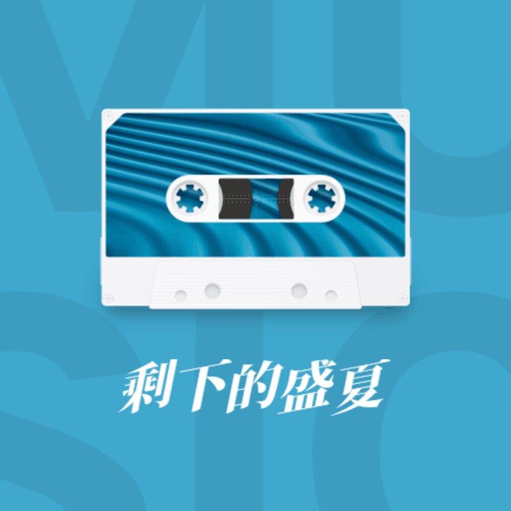 剩下的盛夏封面