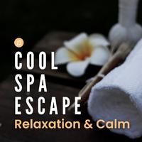 Cool Spa Escape: Relaxation & Calm