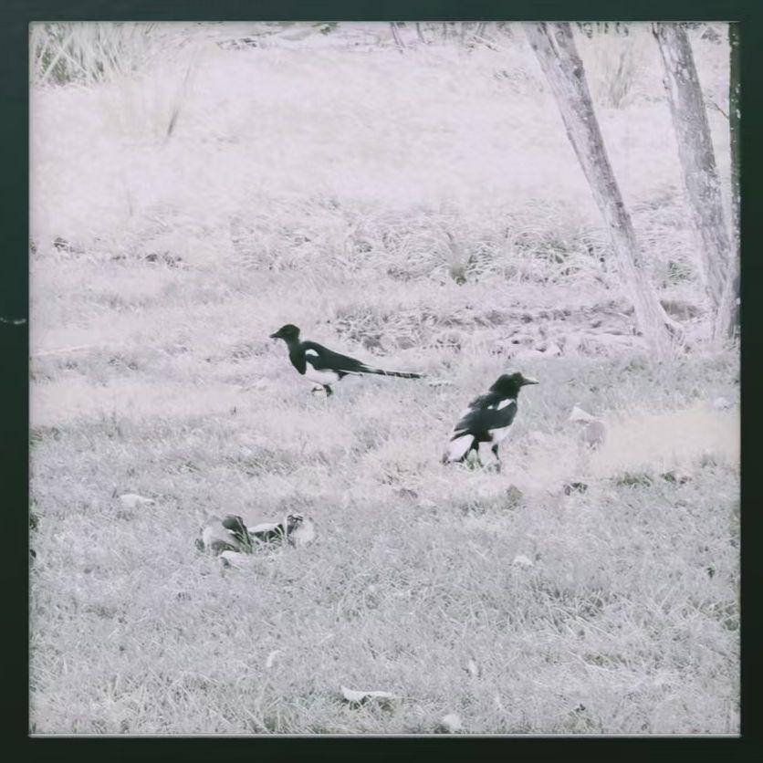 Now, You Are Totally Lost