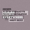 Alex Di Stefano - Phunk Investigation & Alex Di Stefano - Everywhere (Something Mix)