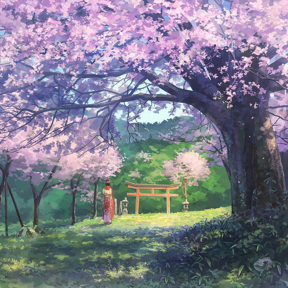 SAKURA（樱花） - Stay封面