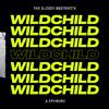 The Bloody Beetroots - Wildchild