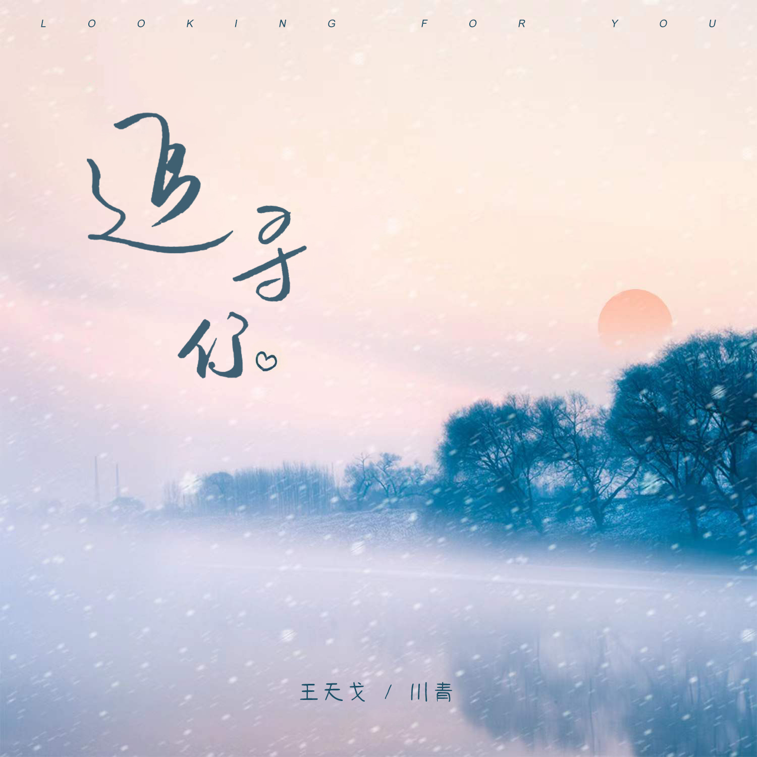 追寻你(DJ哭包版)(伴奏)封面