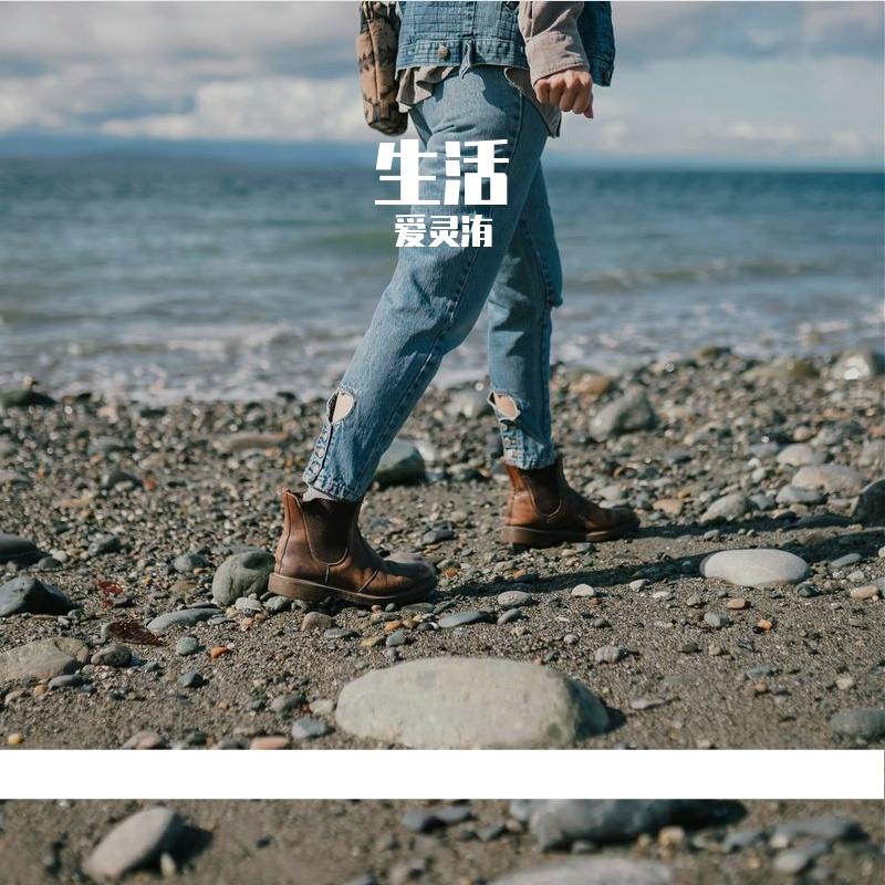 醉眼朦胧封面