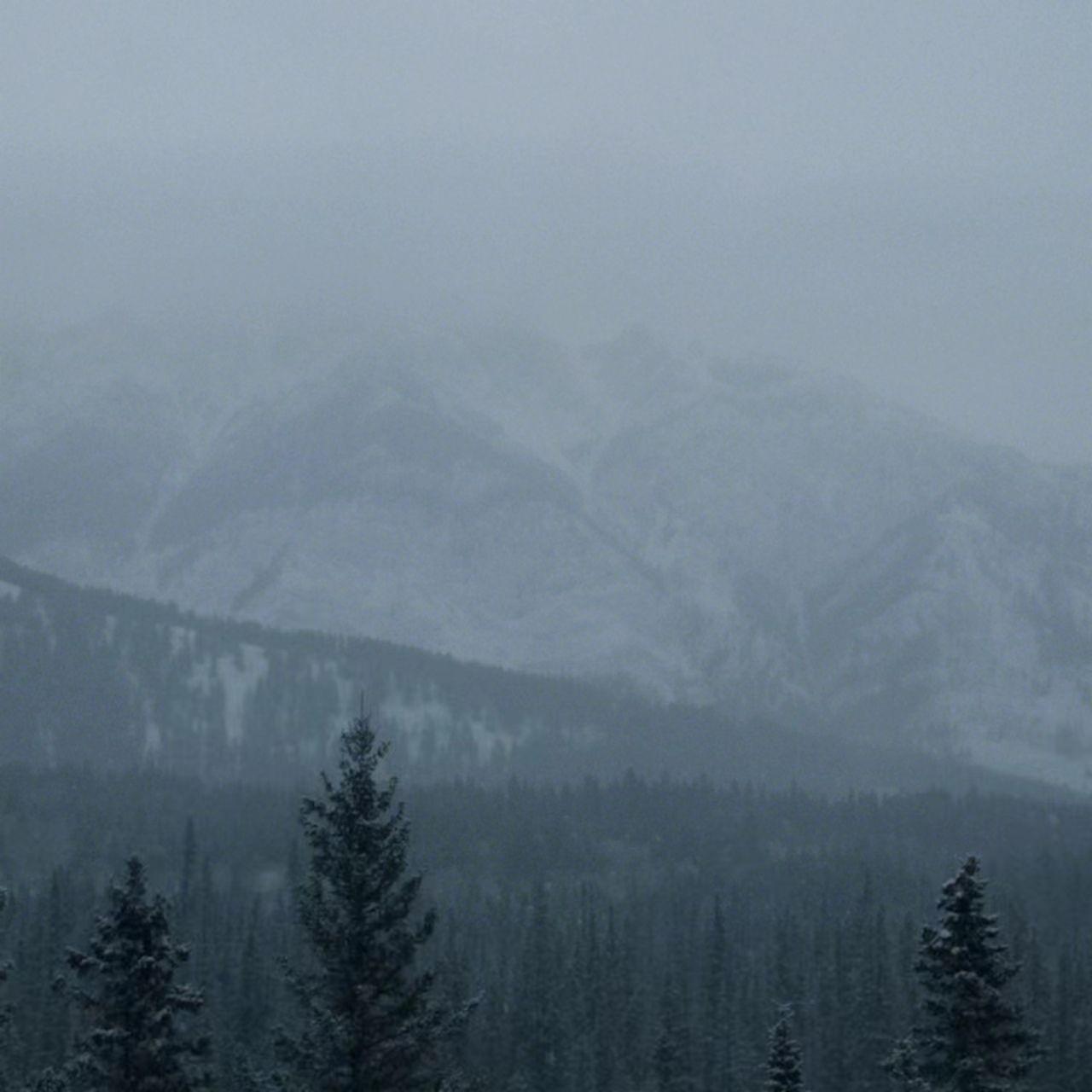 屿与雨_阿律_山屿 清林 落雨 | 在线播放_屿与雨歌词_屿与雨下载 | 网易云音乐