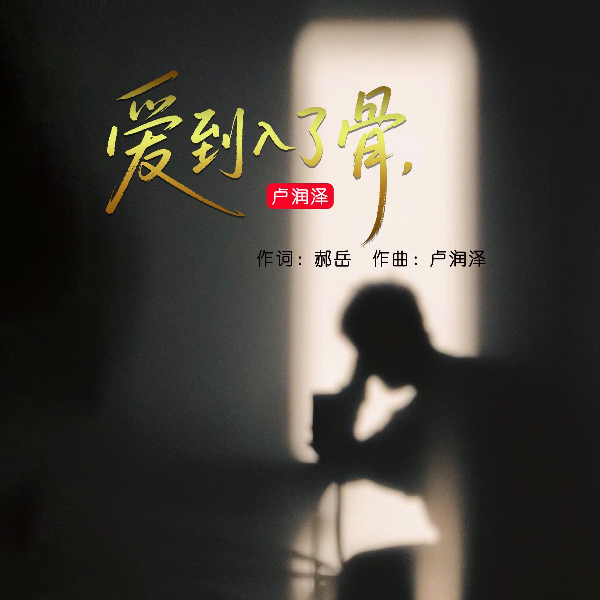 醉了心又伤了情（律动版） - 卢喃封面