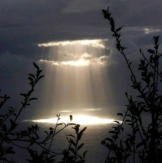 听百首情歌也抵不过见一面