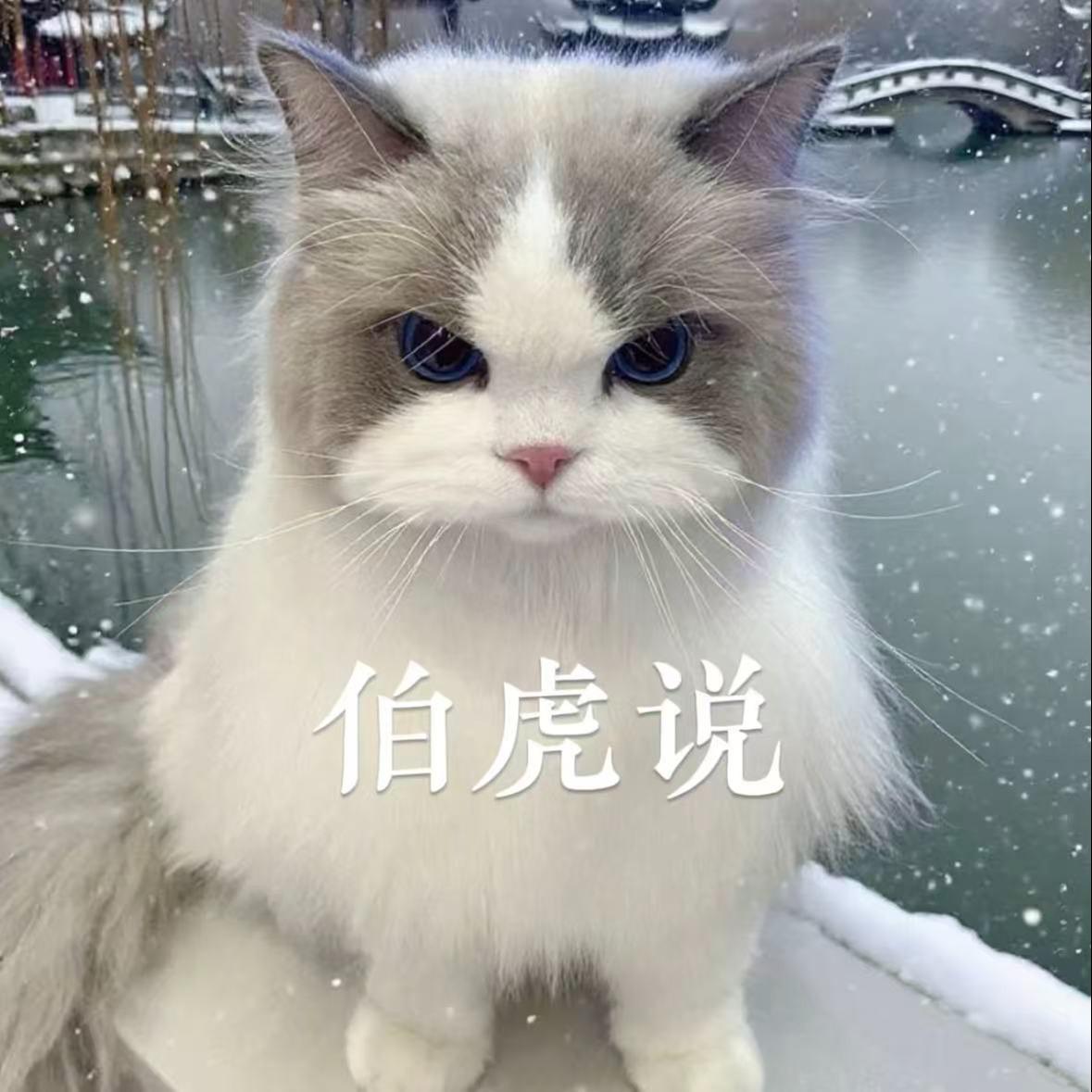 战狼吴京 (坦克没有后视镜)