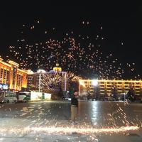 陈东旭