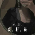 爱,籽,花 (Remix)封面
