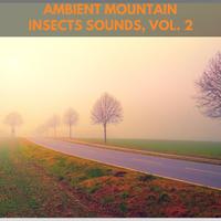 Ambient Mountain Insects Sounds, Vol. 2