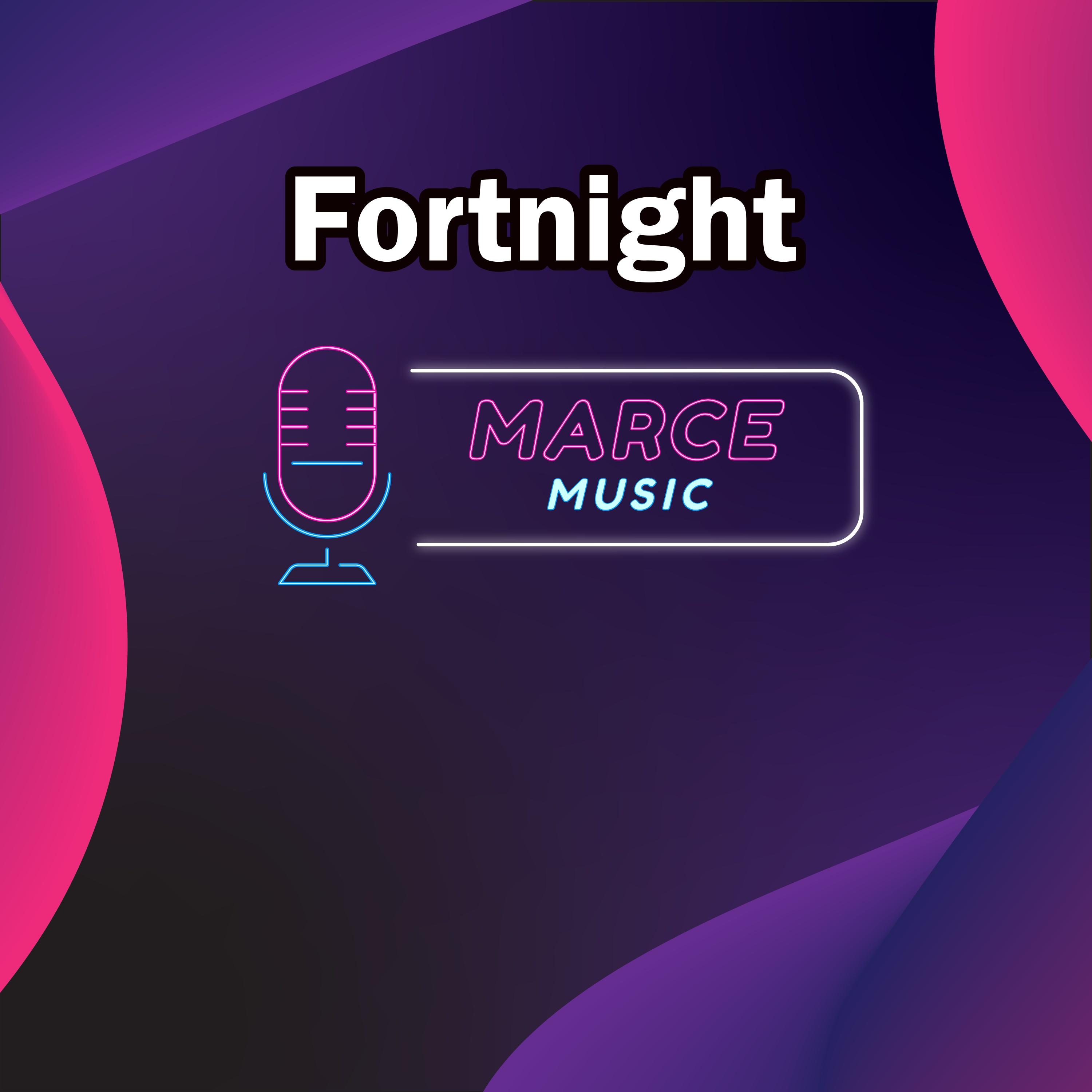 Fortnight (Instrumental Version)