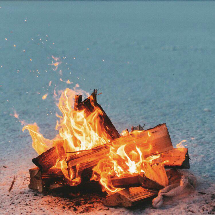 陈鸿宇 马頔 宋冬野 陈粒 JAM 房东的猫