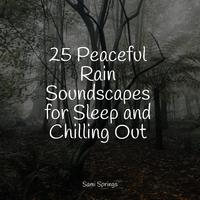 25 Soothing Rain Droplet Tracks