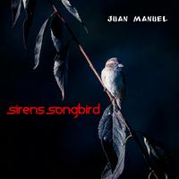 Sirens Songbird