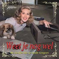 Weet Je Nog Wel - De Liedjes Die Je Nooit Vergeet