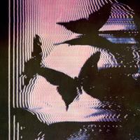 Fico feio nunca (feat. Vulto) [REMIX]