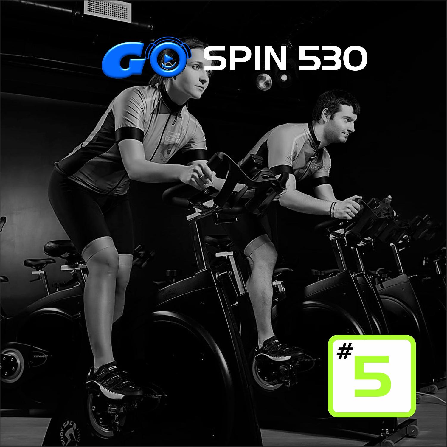 Go Spin 530 #5