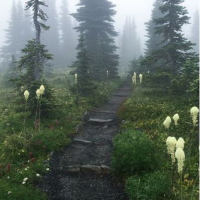 With Me ☠️☠️☠️