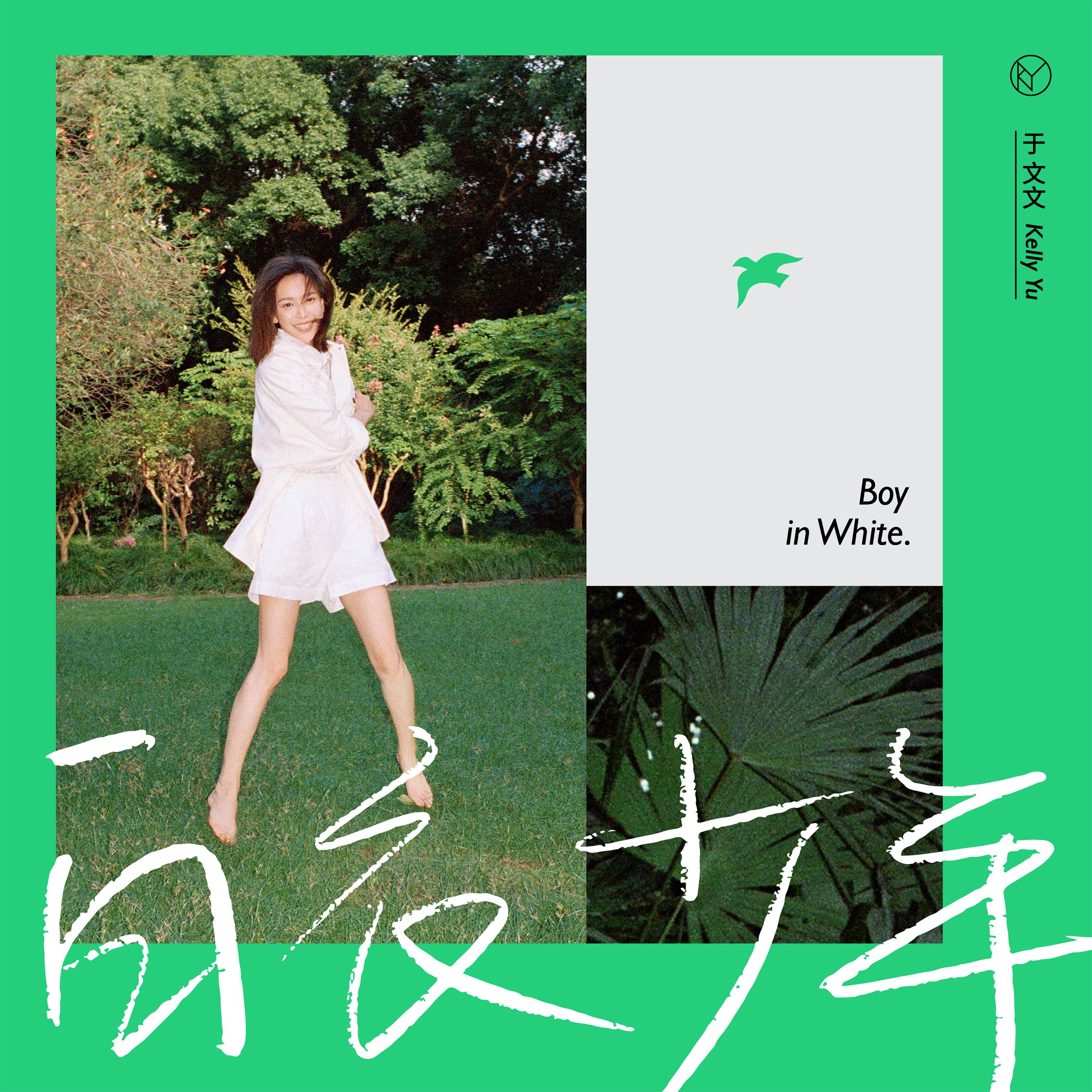 白衣少年封面